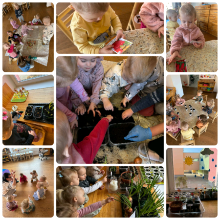 Projektas „Mano pirmasis daržas“